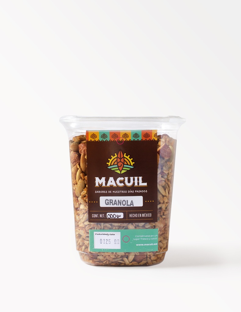GRANOLA PREMIUM 500gr